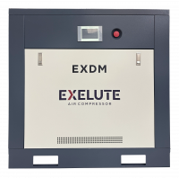 Винтовой компрессор EXELUTE EXDM 11/10 IP54
