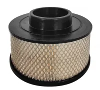 Воздушный фильтр 4092100500 Remeza